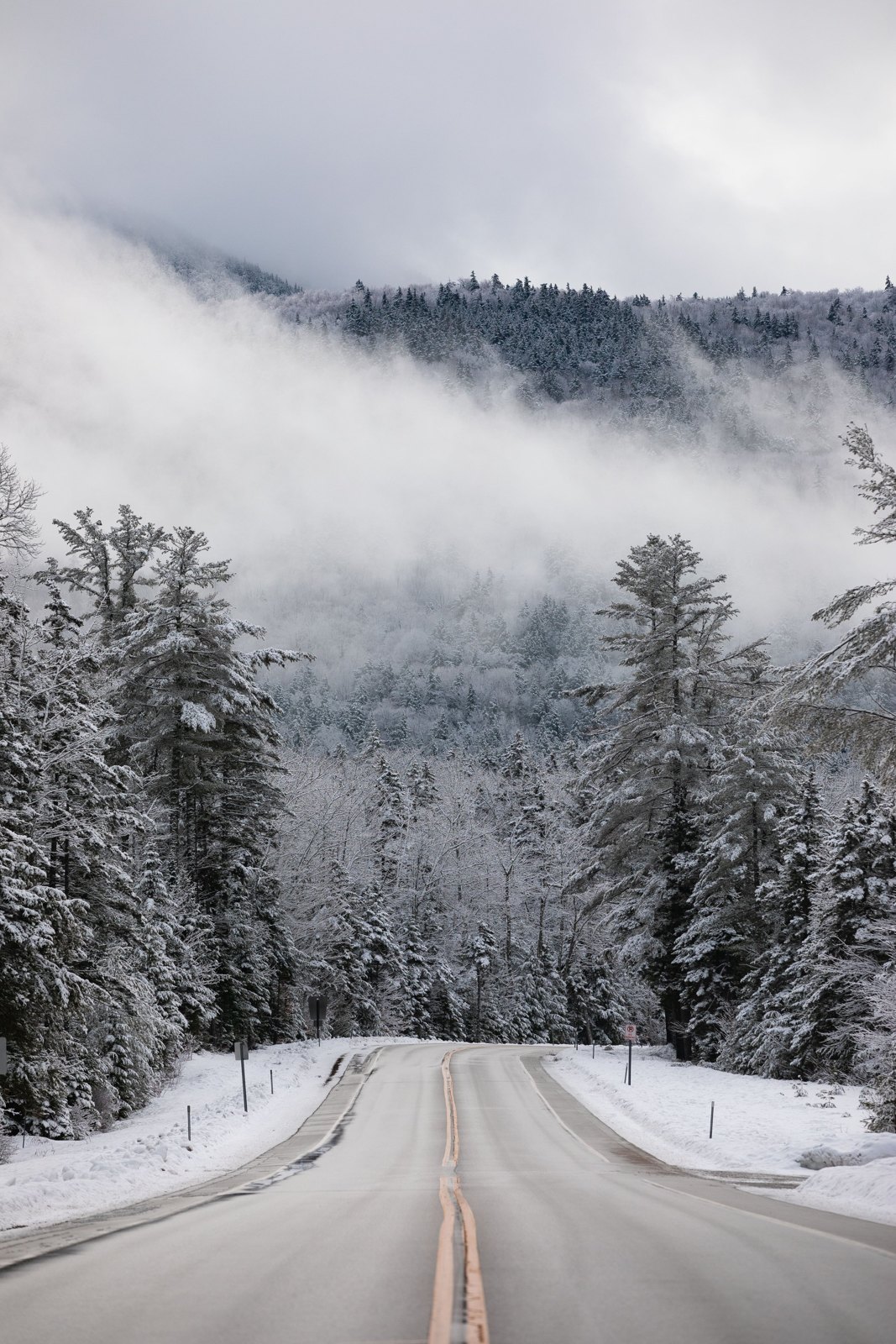 A snowy road through frosted pine trees in the White Mountains